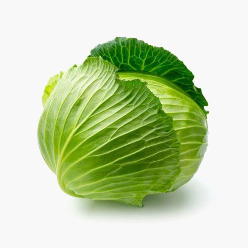 CABBAGE KGS