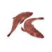FLATHEAD FISH (VETTAN)