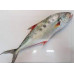 PALAMEEN KUWAIT 1 KGS