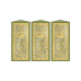 AHSAN PREMIUM COLONEL 3X6 ML