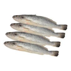 FRESH NUWAIBI FISH - 1KG PKT